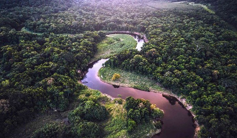 Извиваща се река, преминаваща през гъста зелена гора, символизираща природна красота и спокойствие.